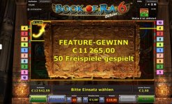 11265euro_gewinn_book_of_ra_6.jpg