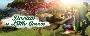 Mr Green Dream 