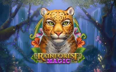 Rainforest Magic Slot